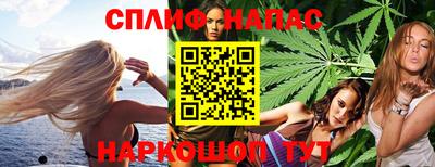 СК Краснодар